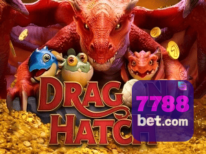 8877BET PIX instantâneo Brasil - Depósito e saque em minutos 24/7